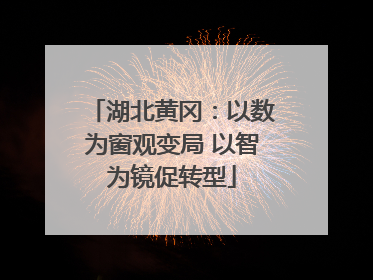 湖北黄冈：以数为窗观变局 以智为镜促转型