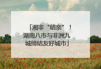 湘非“结亲”！湖南八市与非洲九城缔结友好城市