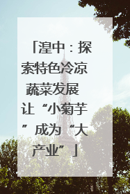 湟中：探索特色冷凉蔬菜发展 让“小菊芋”成为“大产业”