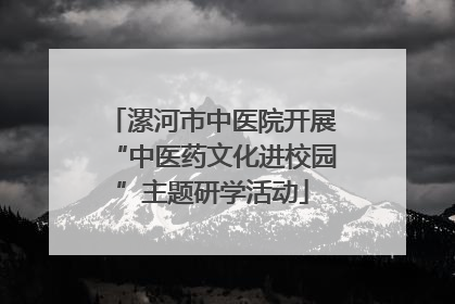 漯河市中医院开展“中医药文化进校园”主题研学活动