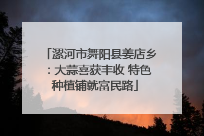 漯河市舞阳县姜店乡：大蒜喜获丰收 特色种植铺就富民路