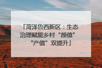 菏泽鲁西新区：生态治理赋能乡村“颜值”“产值”双提升
