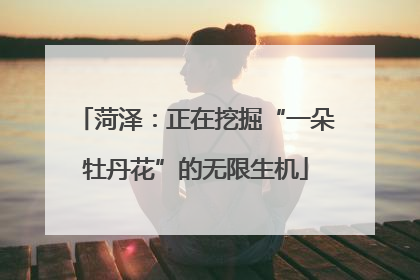 菏泽：正在挖掘“一朵牡丹花”的无限生机