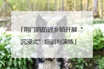 荆门消防进乡镇开展“沉浸式”培训与演练