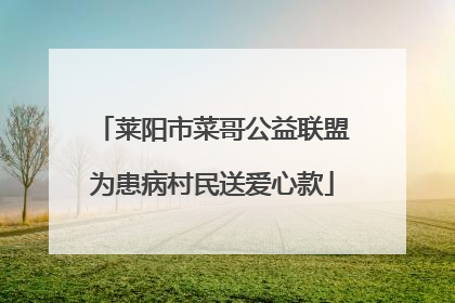 莱阳市菜哥公益联盟为患病村民送爱心款