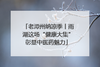 老潭州纳凉季丨雨湖这场“健康大集”彰显中医药魅力