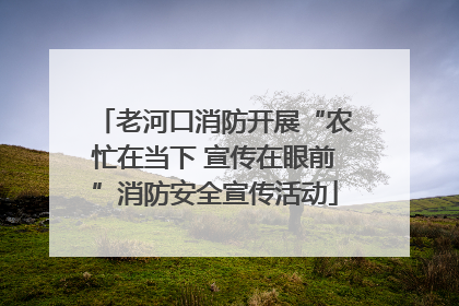 老河口消防开展“农忙在当下 宣传在眼前”消防安全宣传活动