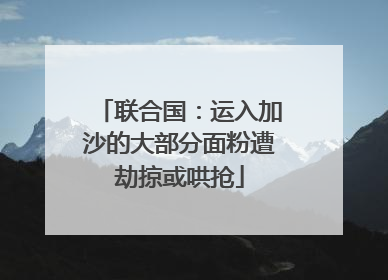 联合国：运入加沙的大部分面粉遭劫掠或哄抢