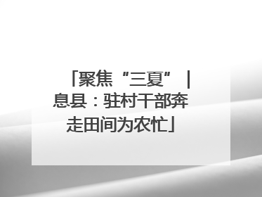 聚焦“三夏”｜息县：驻村干部奔走田间为农忙