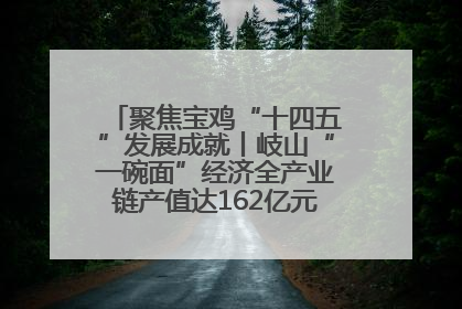 聚焦宝鸡“十四五”发展成就丨岐山“一碗面”经济全产业链产值达162亿元 入选全国典型县