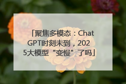 聚焦多模态：ChatGPT时刻未到，2025大模型“变慢”了吗