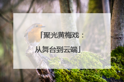聚光黄梅戏：从舞台到云端