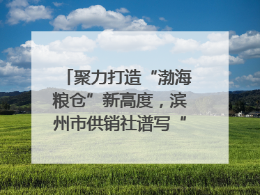 聚力打造“渤海粮仓”新高度，滨州市供销社谱写“三夏”丰收乐章