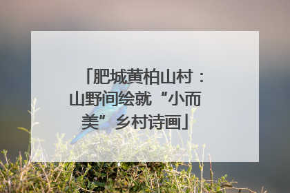肥城黄柏山村：山野间绘就“小而美”乡村诗画