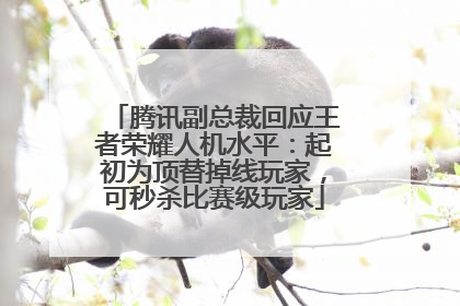 腾讯副总裁回应王者荣耀人机水平：起初为顶替掉线玩家，可秒杀比赛级玩家