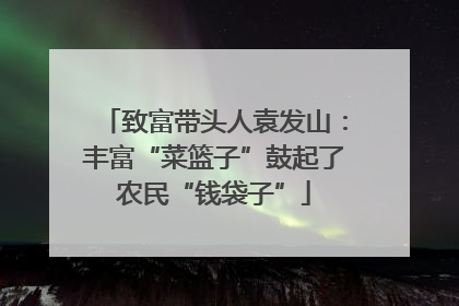致富带头人袁发山：丰富“菜篮子”鼓起了农民“钱袋子”