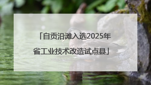 自贡沿滩入选2025年省工业技术改造试点县