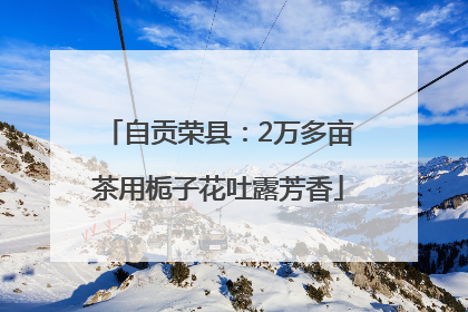 自贡荣县：2万多亩茶用栀子花吐露芳香