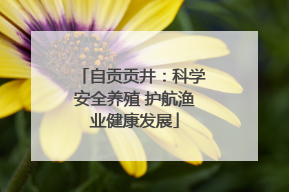 自贡贡井：科学安全养殖 护航渔业健康发展