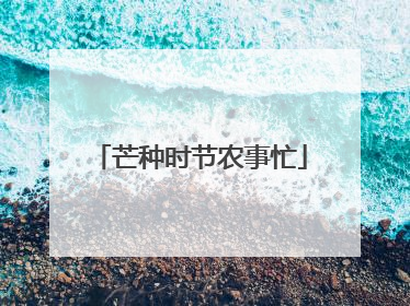芒种时节农事忙