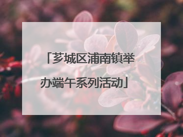 芗城区浦南镇举办端午系列活动