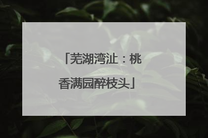 芜湖湾沚：桃香满园醉枝头