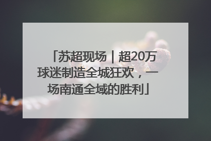 苏超现场｜超20万球迷制造全城狂欢，一场南通全域的胜利