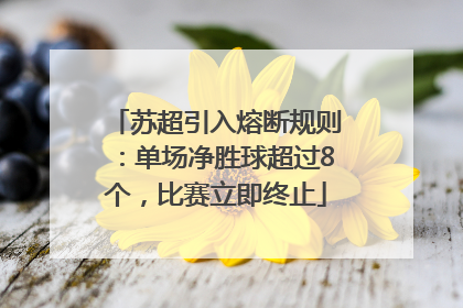 苏超引入熔断规则：单场净胜球超过8个，比赛立即终止