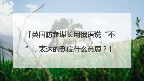 英国防参谋长用俄语说“不”，表达的到底什么意思？