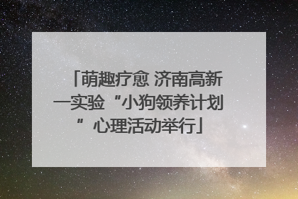 萌趣疗愈 济南高新一实验“小狗领养计划”心理活动举行
