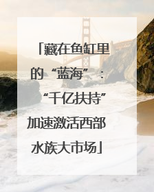 藏在鱼缸里的“蓝海”：“千亿扶持”加速激活西部水族大市场