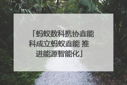 蚂蚁数科携协鑫能科成立蚂蚁鑫能 推进能源智能化