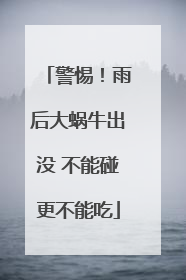 警惕！雨后大蜗牛出没 不能碰更不能吃