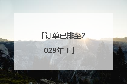 订单已排至2029年！