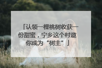 认领一棵桃树收获一份甜蜜，宁乡这个村邀你成为“树主”