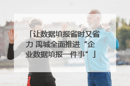 让数据填报省时又省力 禹城全面推进“企业数据填报一件事”