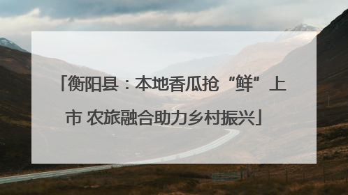 衡阳县：本地香瓜抢“鲜”上市 农旅融合助力乡村振兴