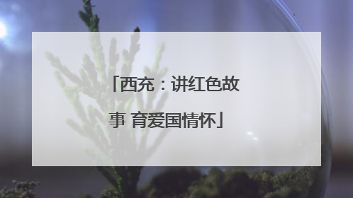 西充：讲红色故事 育爱国情怀