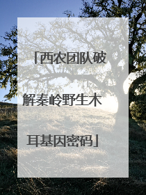 西农团队破解秦岭野生木耳基因密码