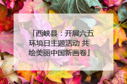 西峡县：开展六五环境日主题活动 共绘美丽中国新画卷