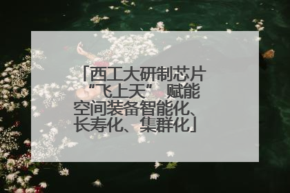 西工大研制芯片“飞上天” 赋能空间装备智能化、长寿化、集群化
