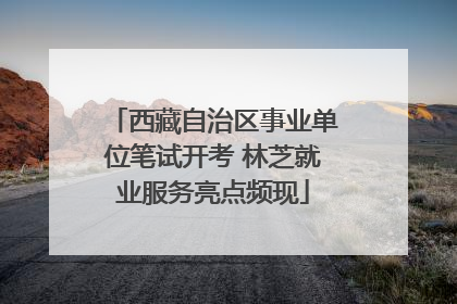 西藏自治区事业单位笔试开考 林芝就业服务亮点频现