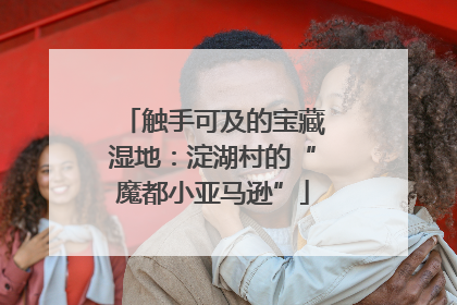 触手可及的宝藏湿地：淀湖村的“魔都小亚马逊”