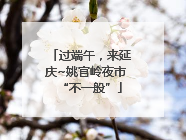 过端午，来延庆~姚官岭夜市“不一般”