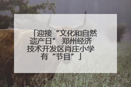 迎接“文化和自然遗产日” 郑州经济技术开发区肖庄小学有“节目”