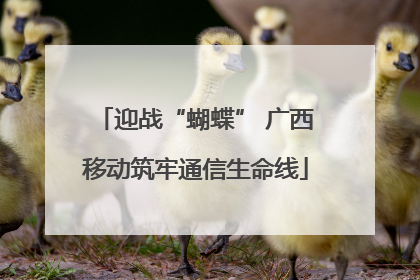 迎战“蝴蝶” 广西移动筑牢通信生命线