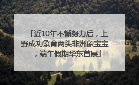近10年不懈努力后，上野成功繁育两头非洲象宝宝，端午假期华东首展