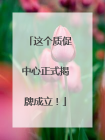 这个质促中心正式揭牌成立！