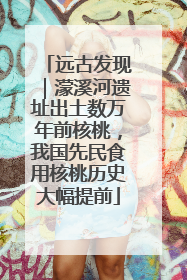 远古发现｜濛溪河遗址出土数万年前核桃，我国先民食用核桃历史大幅提前