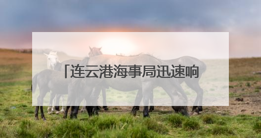 连云港海事局迅速响应强风预警 多措并举筑牢海上安全防线